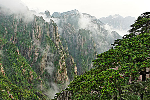 听话的水淘宝可以买到吗C1B8D97C5-18975